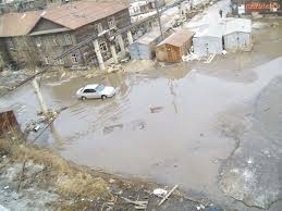Трущебы