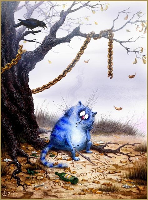 кот мадан